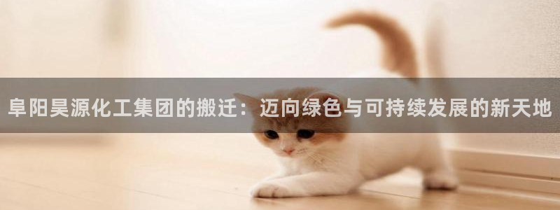 球盟会黑台子：阜阳昊源化工集团的搬迁：迈向绿色与可持续发展的