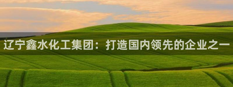 球盟会下载最新版：辽宁鑫水化工集团：打造国内领先的企业之一