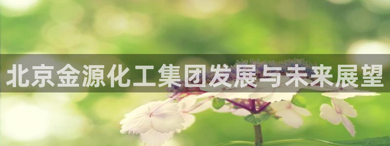 球盟会里面有打牌的嘛：北京金源化工集团发展与未来展望