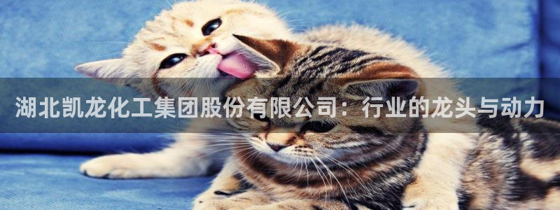 球盟会进不去球员吗：湖北凯龙化工集团股份有限公司：行业的龙头