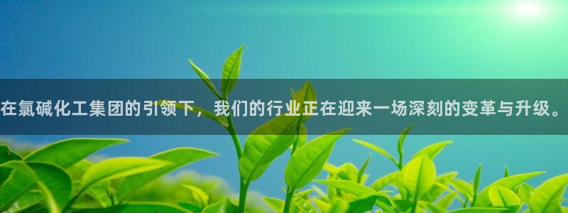 球盟会黑钱：在氯碱化工集团的引领下，我们的行业正在迎来一场深