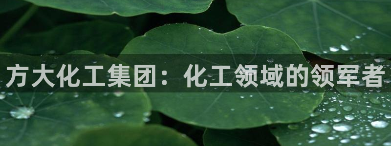 球盟会qmh网页版登录
