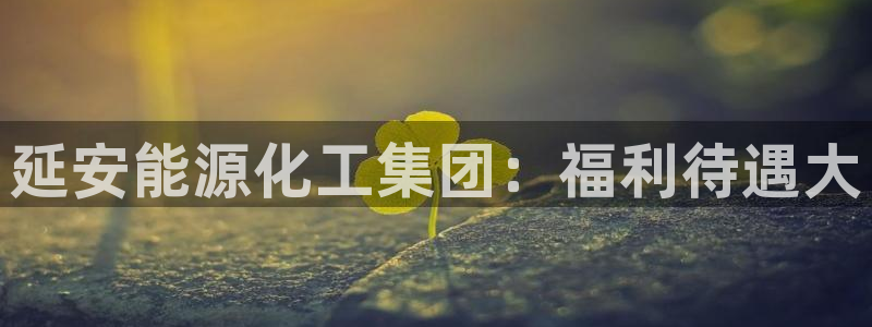 球盟会官方网页登录