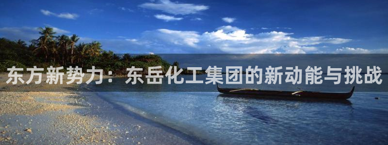 球盟会官网登录入口：东方新势力：东岳化工集团的新动能与挑战