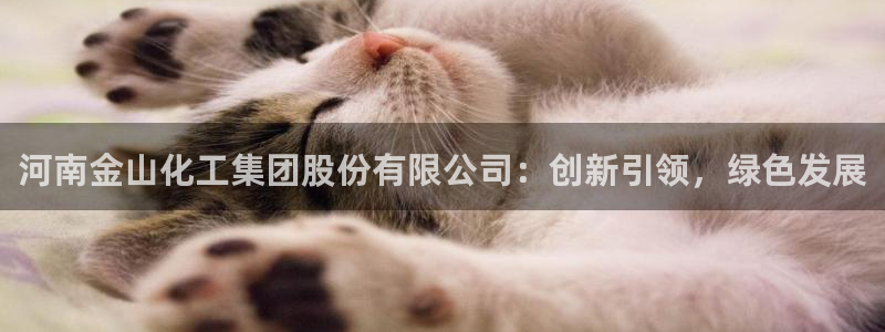 球盟会官方网站入口：河南金山化工集团股份有限公司：创新引领，