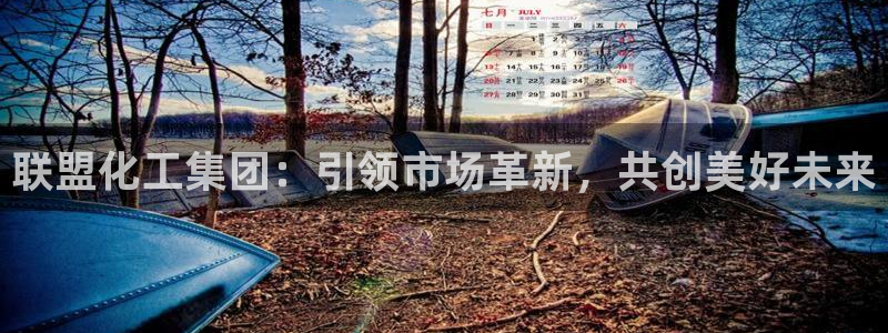 球盟会官方登录平台：联盟化工集团：引领市场革新，共创美好未来