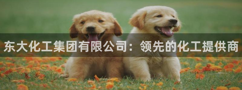 球盟会qmh网页版登录：东大化工集团有限公司：领先的化工提供