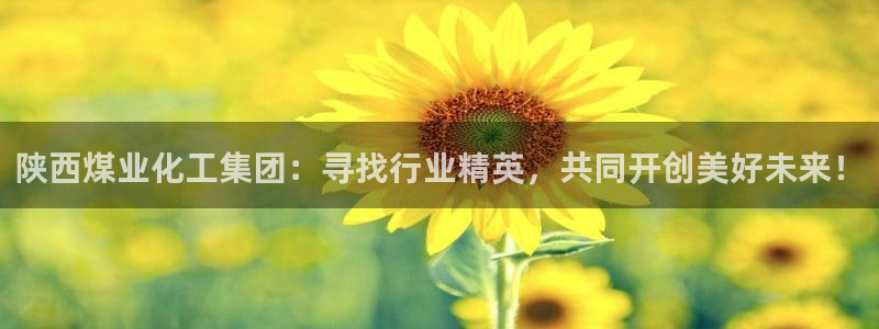球盟会官网登录入口：陕西煤业化工集团：寻找行业精英，共同开创