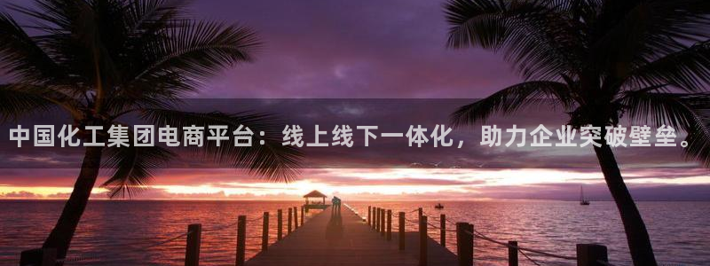 球盟会官方登录平台：中国化工集团电商平台：线上线下一体化，助