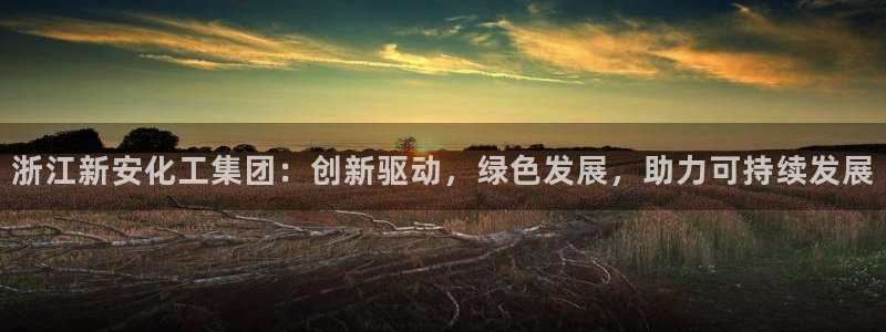 球盟会qmh网页版登录：浙江新安化工集团：创新驱动，绿色发展