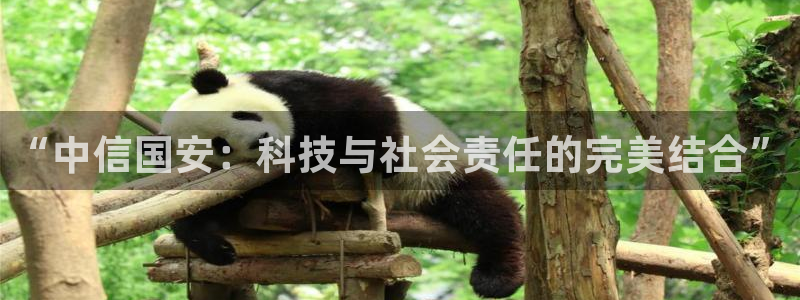 球盟会能退钱吗：“中信国安：科技与社会责任的完美结合”