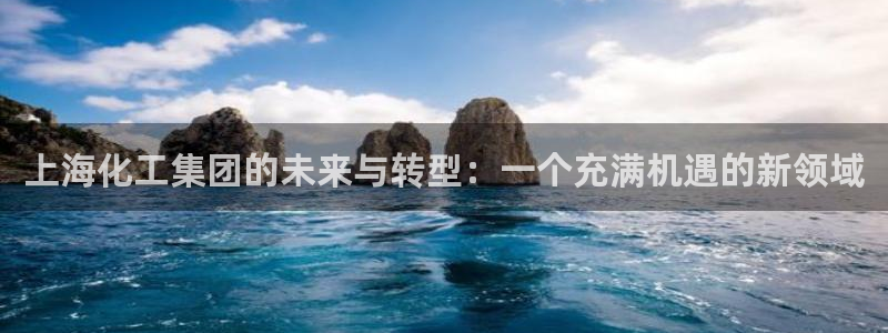 球盟会优惠券：上海化工集团的未来与转型：一个充满机遇的新领域