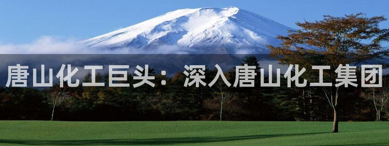 球盟会官方版下载地址