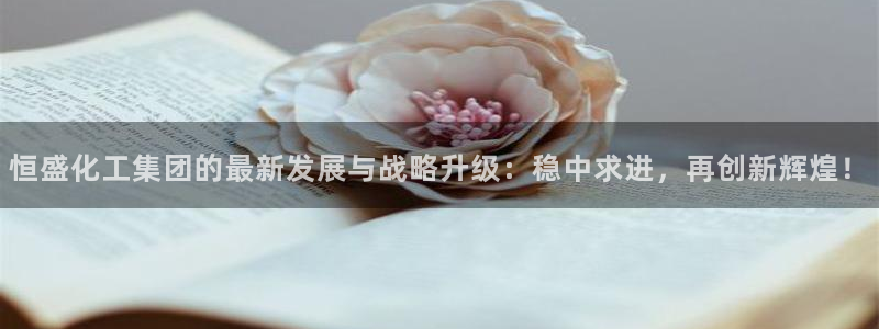 球盟会和中欧合作吗：恒盛化工集团的最新发展与战略升级：稳中求