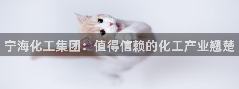 球盟会登陆中心