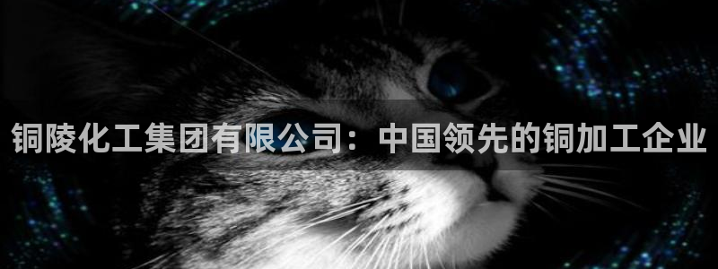 球盟会官方网入口