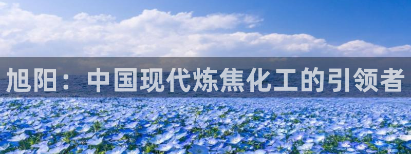 球盟会网页登录app下载地址：旭阳：中国现代炼焦化工的引领者