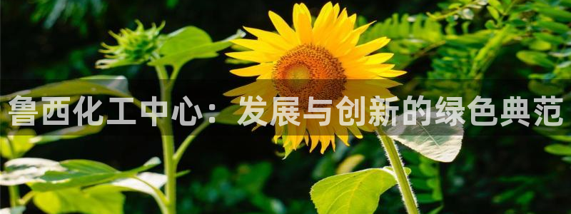 球盟会进不去：鲁西化工中心：发展与创新的