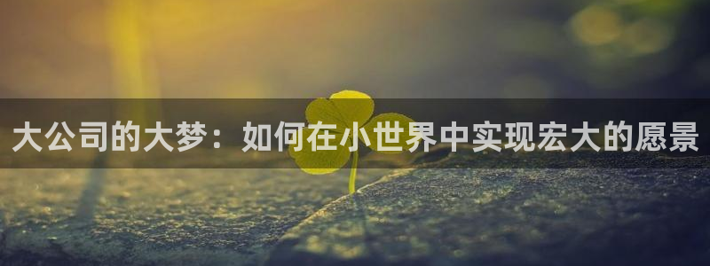 球盟会在线登入：大公司的大梦：如何在小世