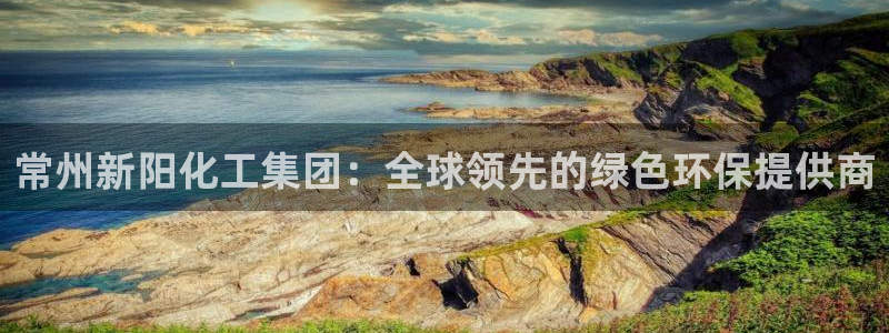 球盟会用的客服聊天是哪个软件：常州新阳化