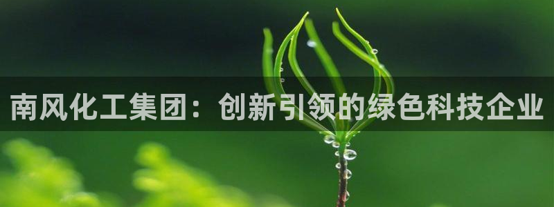 球盟会qm8597：南风化工集团：创新引