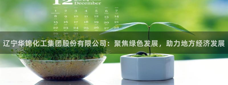 球盟会qm8597：辽宁华锦化工集团股份