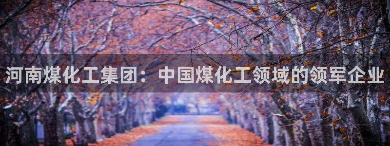 球盟会网址多少：河南煤化工集团：中国煤化