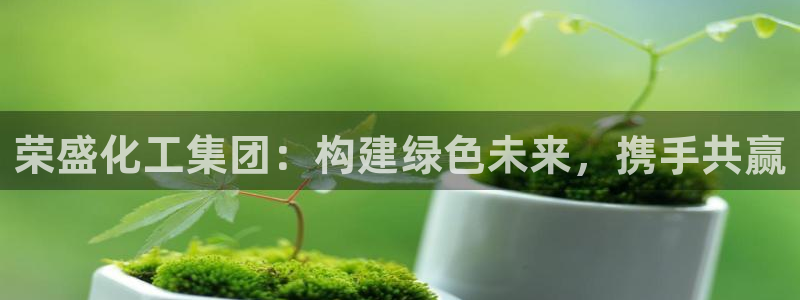球盟会网页版：荣盛化工集团：构建绿色未来