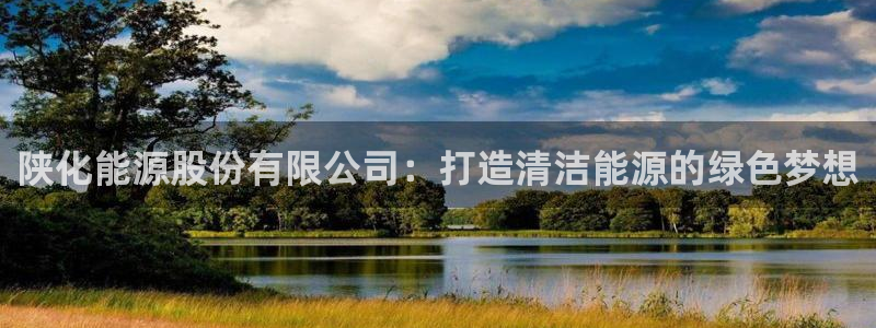球盟会黑款吗：陕化能源股份有限公司：打造